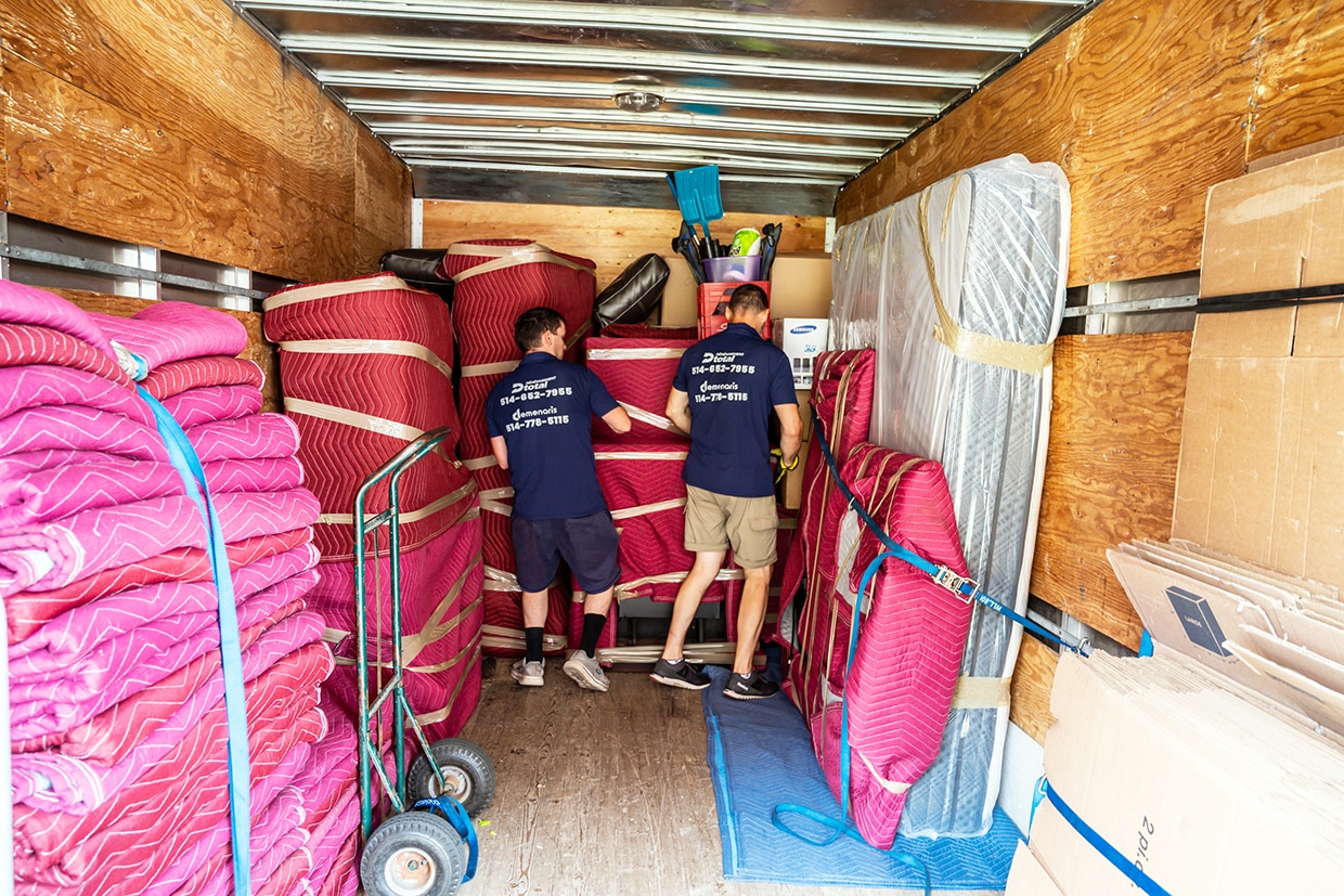 Differences Between a Professional Mover and an Amateur - professional mover and an amateur - 8